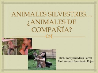 Los Animales Silvestres (Para compartir)
