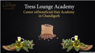 Hair Course in Chandigarh - Benefits of castor oil