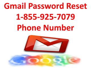 Gmail Password Reset 18886537749 Phone Number