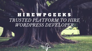 TRUSTED PLATFORM TO HIRE WORDPRESS DEVELOPER