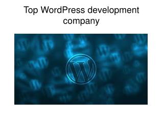 Top WordPress development company