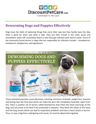 Deworming Dogs and Puppies Effectively