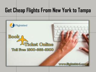 Get Low Airfares On New York to Tampa Bay & Save Big
