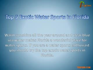 Top 5 Exotic Water Sports In Florida