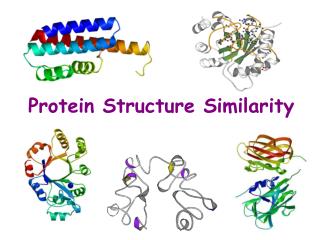 Protein Structure Similarity