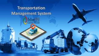 Brilliant offer Transportation Management System