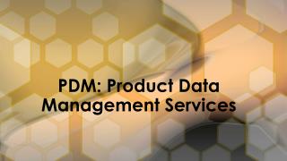 Product Data Management Services ; Vserve Solution
