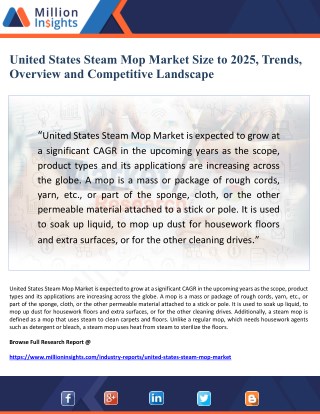 United States Steam Mop Market Size to 2025, Trends, Overview and Competitive Landscape