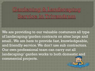 Gardening & Landscaping Service in Trivandrum