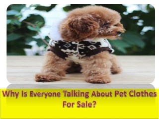 Why Is Everyone Talking About Pet Clothes For Sale?