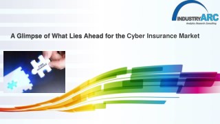 Cyber Insurance Market Forecast(2018 - 2023)