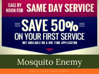 Outdoor Mosquito Control