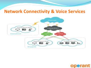 Network Connectivity & Voice Services