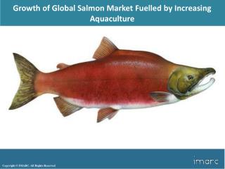 Global Salmon Market 2018 Analysis By Top Key Players - Marine Harvest, Leroy Seafood Group, Cremaq and SalMar.