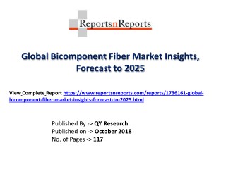 Bicomponent Fiber Industry Growth, Status, CAGR, Value, Share and 2018-2025 Future Prediction