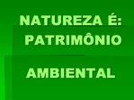 NATUREZA : PATRIM NIO AMBIENTAL