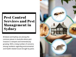 Pest Control Services and Pest Management in Sydney
