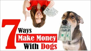 Top 7 Ways You Can Make Money With Your Dogs 2018