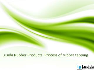Lusida Rubber ProductsProcess of rubber tapping