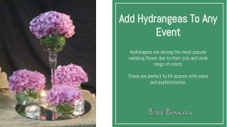 Buy best Bulk hydrangeas flower to decor any events