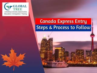 Canada Immigration Express Entry Step by Step Process - Global Tree, India