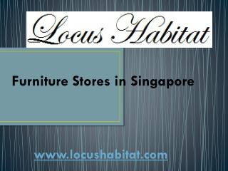 Furniture Leather Singapore - locushabitat.com