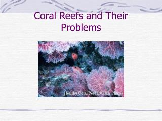 Coral Reefs and Their Problems