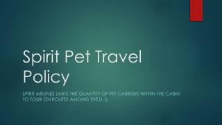 Spirit Pet Travel Policy