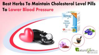 Best Herbs to Lower Blood Pressure and Maintain Cholesterol Level