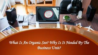 What Is An Organic Seo? Why Is It Needed By The Business Unit?