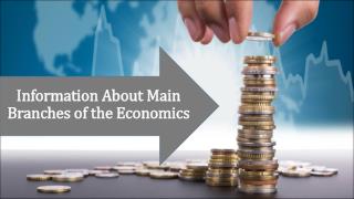 Best Information about Main Branches of Economics
