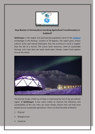 How Biochar in Permaculture Can Bring Agricultural Transformation in Svalbard?