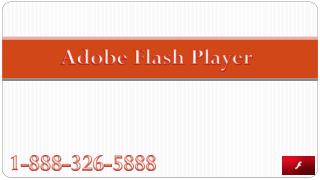 Adobe Flash Player Customer Service
