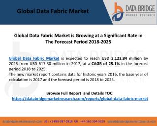 Global Data Fabric Market is Growing at a Significant Rate in The Forecast Period 2018-2025