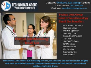 Chief of Anesthesiology Email List | Anesthesiology Lists
