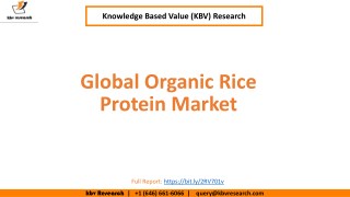 Global Organic Rice Protein Market