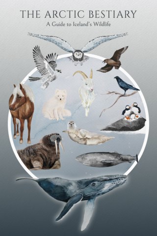 The Arctic Bestiary - A Guide to Iceland's Wildlife