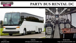 Wedding in the Wild Woods with a Charter Bus Rental for Guests