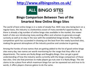 Bingo Comparison Between Two of the Smartest New Online Bingo Sites