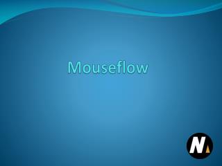 Mouseflow