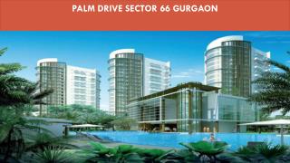 Diwali Offer Palm Drive Sector 66 Gurgaon