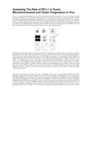 Assessing The Role of PD-L1 in Tumor Microenvironment and Tumor Progression in Vivo