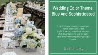 Find best and unique Blue Hydrangea flowers online