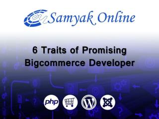 6 Traits of Promising BigCommerce Developer