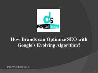 How Brands can Optimize SEO with Google’s Evolving Algorithm?