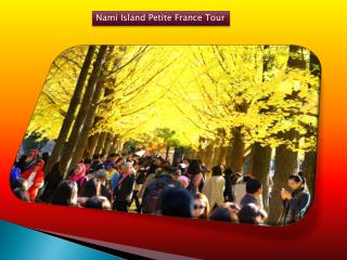 Nami Island Petite France tour