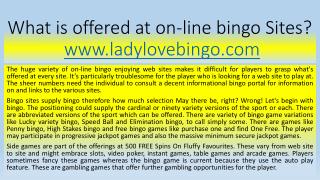 What is offered at on-line bingo Sites?