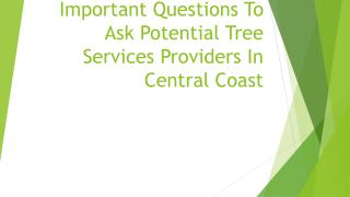 Important Questions To Ask Potential Tree Services Providers In Central Coast