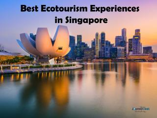 Best Ecotourism Experiences in Singapore