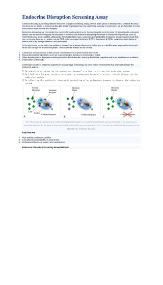 Bivariate Cell Cycle Assay (Cyclins/PI)